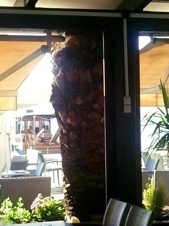 Hotel Kipseli Volos Bagian luar foto